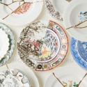 Тарелка Seletti Hybrid Eusapia